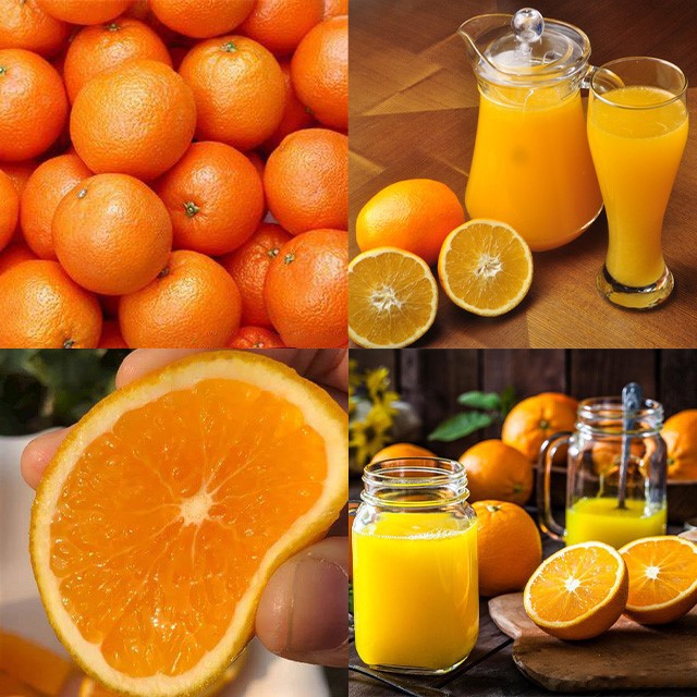 Orange Juicer Extractor Machine 3 Orange Juicer Extractor Machine 3